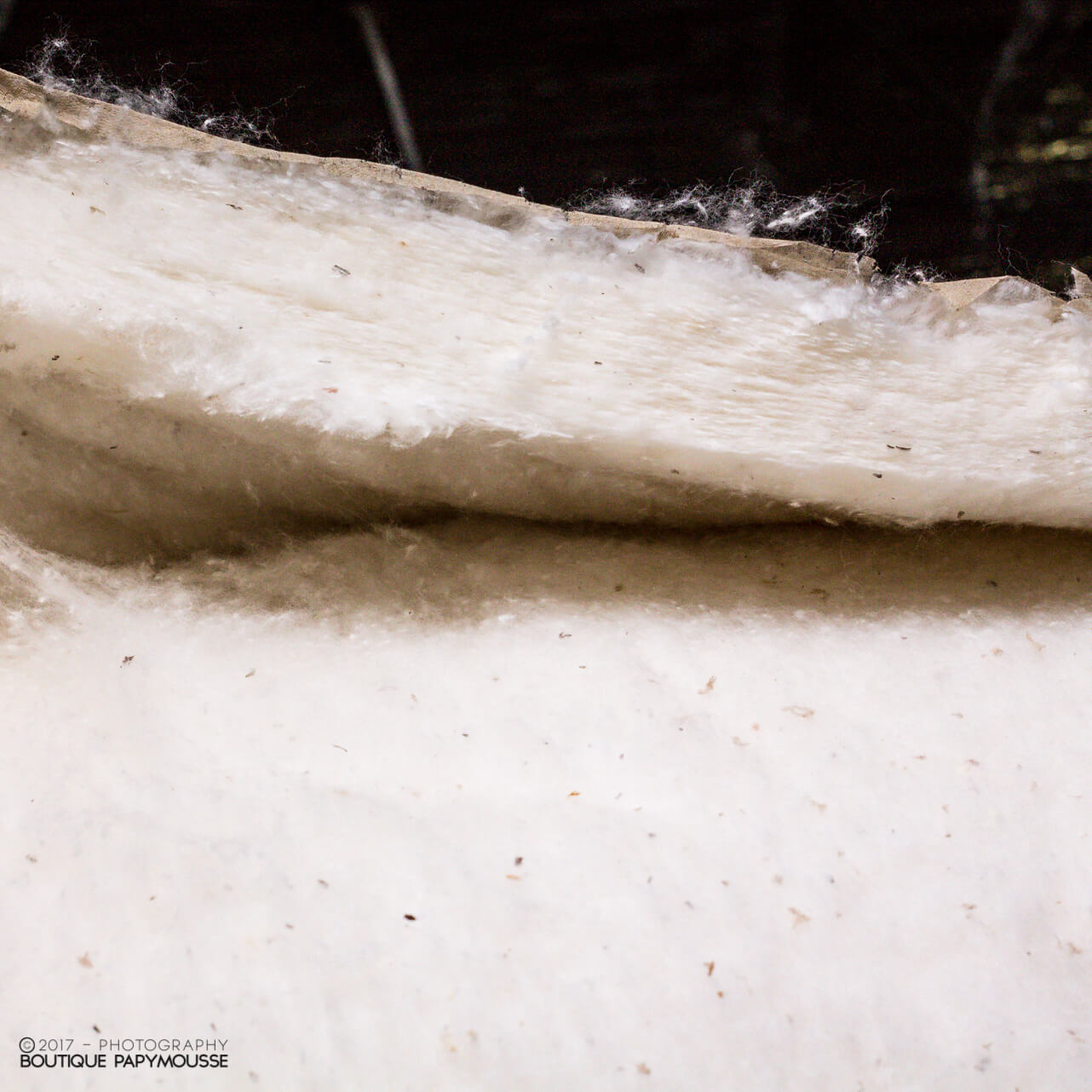 Ouate blanche – Image 2
