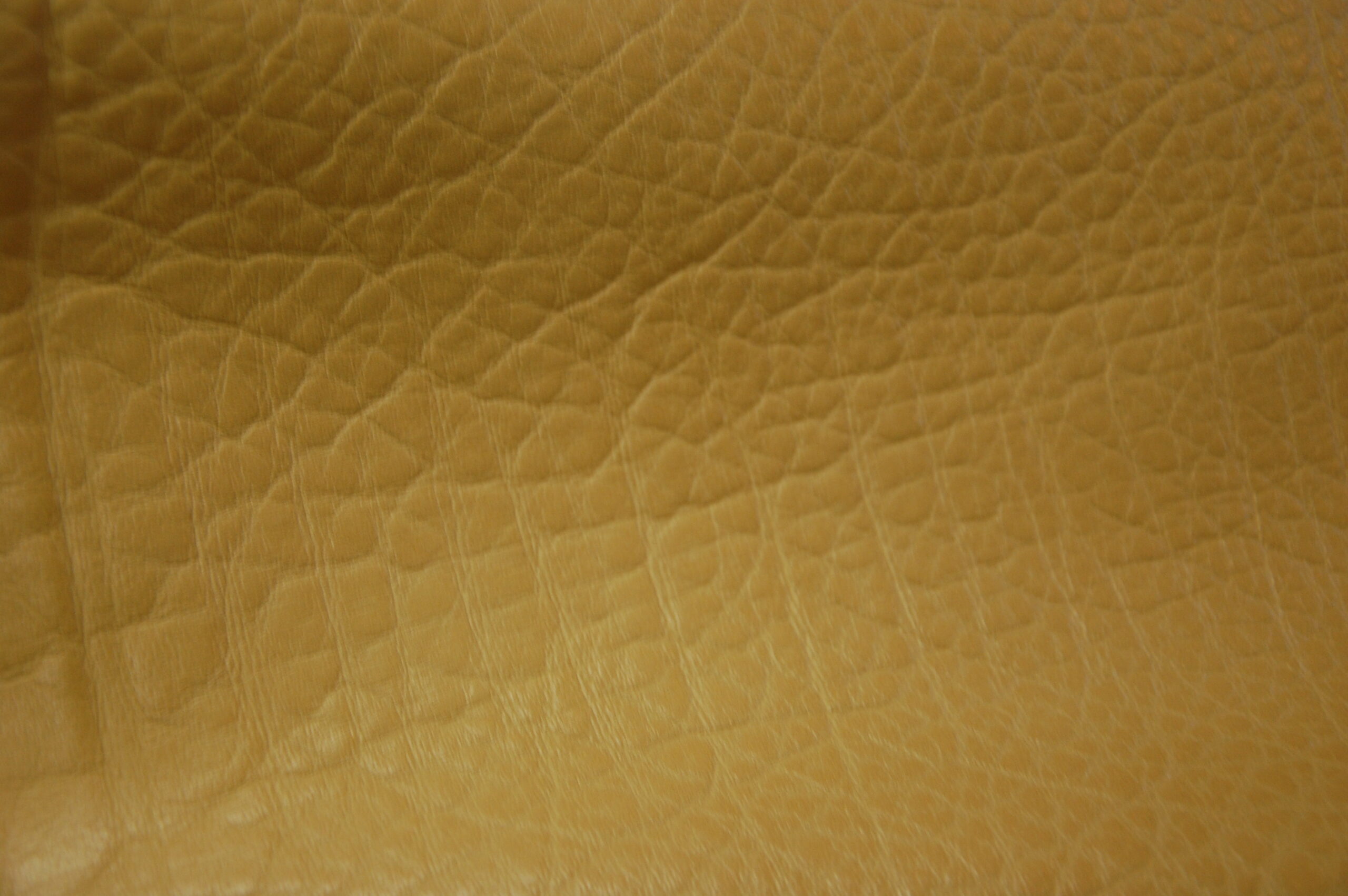 peau complète de cuir (ref:PC020)